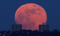 القمر العملاق يزين السماء خلال أيام